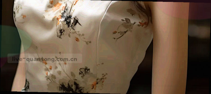 节目单更新流程示意，从左到右依次为节目源、采集、分类、发布四个节点，节点间以箭头连接